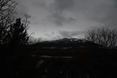 DSC_5875 (Large).JPG